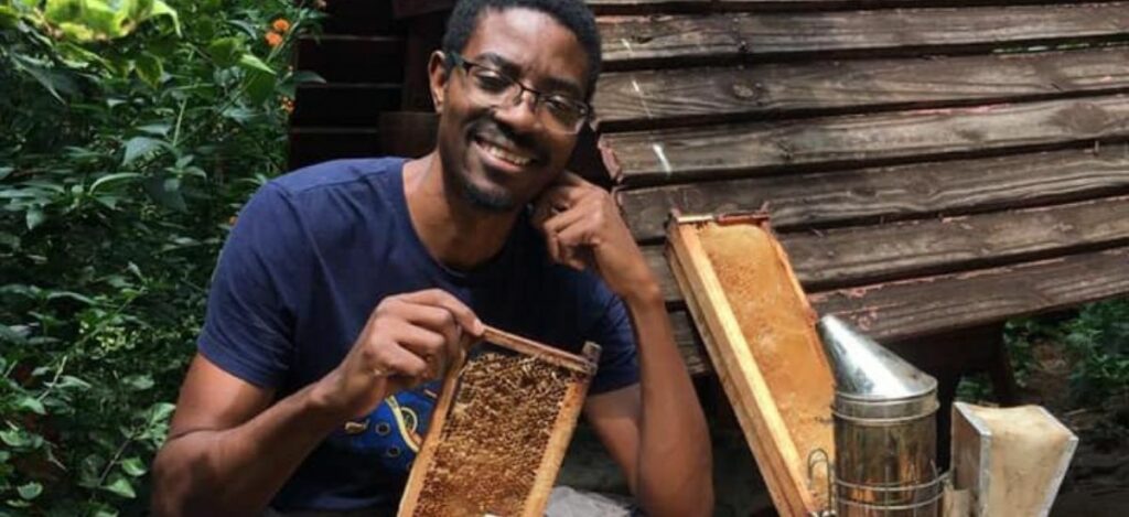 World Bee Day